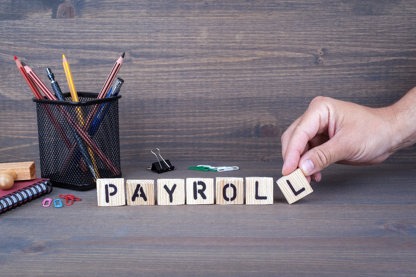 Guide to Payroll Software and How It Works