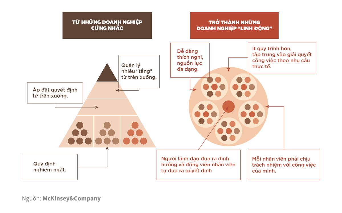 The circle model requires employees to quickly sharpen themselves to adapt