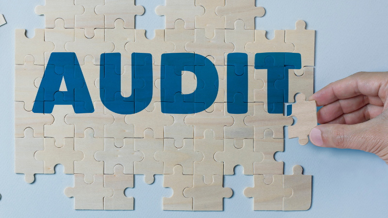 Payroll audit meaning